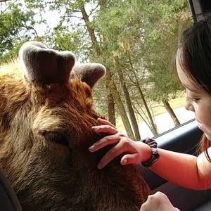 Meet your Posher, Cary